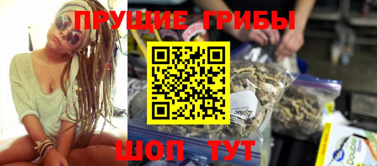 Псилоцибиновые грибы ЛСД Дмитров