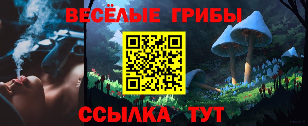 Галлюциногенные грибы GOLDEN TEACHER  Вход с VPN  Псилоцибиновые грибы мухоморы  Дмитров 